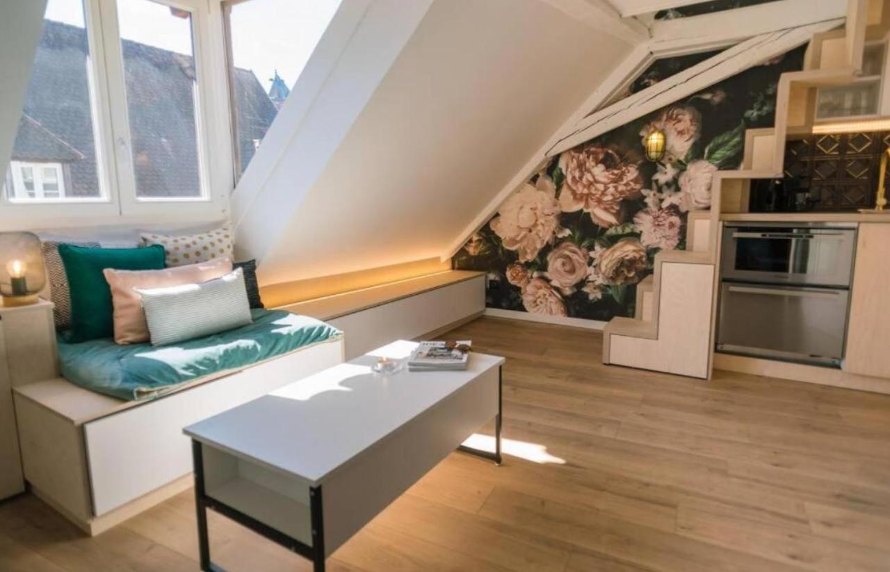 L'evasion - Cozy - Rbnb * Strasbourg